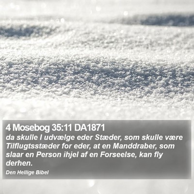 4 Mosebog 35:11 DA1871 Bible Verse Image
