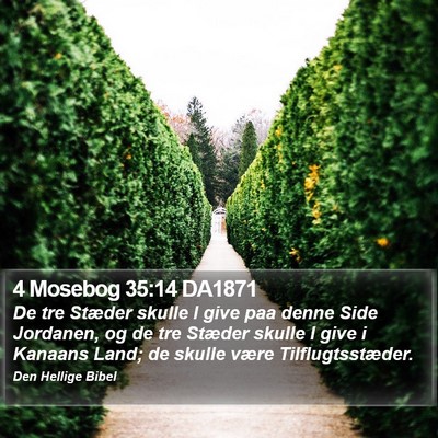 4 Mosebog 35:14 DA1871 Bible Verse Image