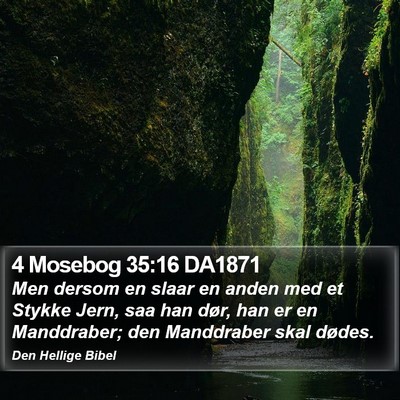4 Mosebog 35:16 DA1871 Bible Verse Image