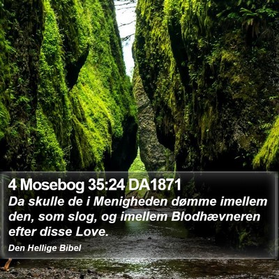 4 Mosebog 35:24 DA1871 Bible Verse Image