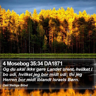 4 Mosebog 35:34 DA1871 Bible Verse Image