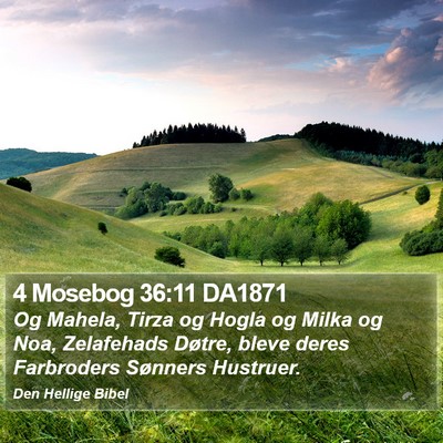 4 Mosebog 36:11 DA1871 Bible Verse Image