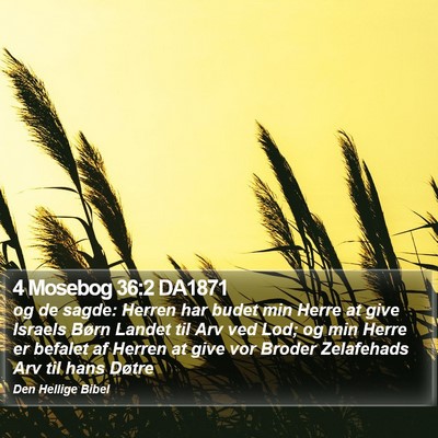 4 Mosebog 36:2 DA1871 Bible Verse Image