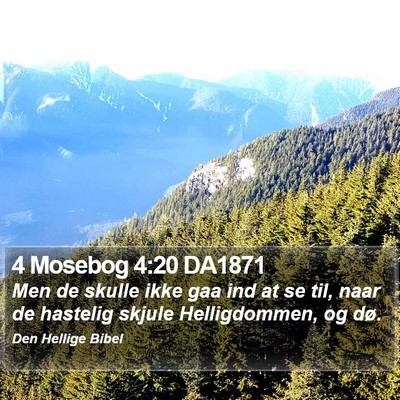 4 Mosebog 4:20 DA1871 Bible Verse Image