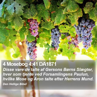 4 Mosebog 4:41 DA1871 Bible Verse Image