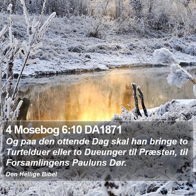 4 Mosebog 6:10 DA1871 Bible Verse Image