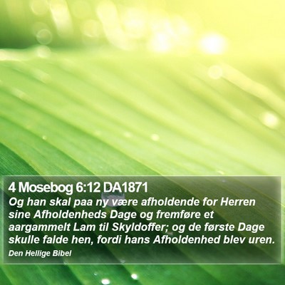 4 Mosebog 6:12 DA1871 Bible Verse Image