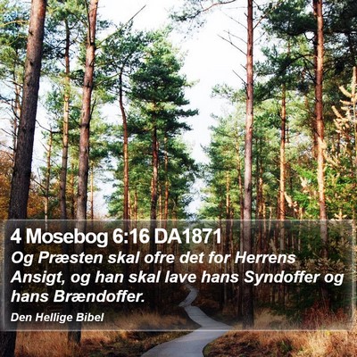 4 Mosebog 6:16 DA1871 Bible Verse Image