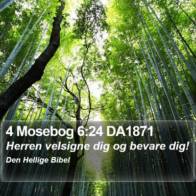 4 Mosebog 6:24 DA1871 Bible Verse Image