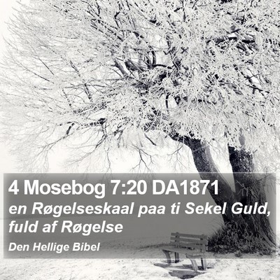 4 Mosebog 7:20 DA1871 Bible Verse Image