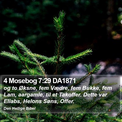 4 Mosebog 7:29 DA1871 Bible Verse Image