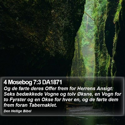 4 Mosebog 7:3 DA1871 Bible Verse Image