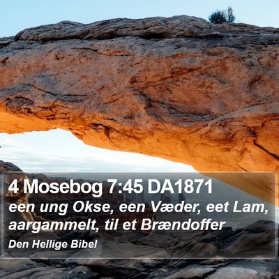 4 Mosebog 7:45 DA1871 Bible Verse Image