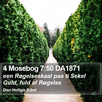 4 Mosebog 7:50 DA1871 Bible Verse Image