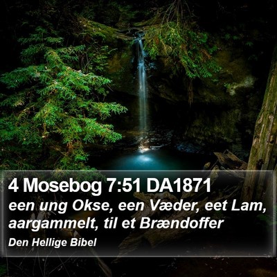 4 Mosebog 7:51 DA1871 Bible Verse Image