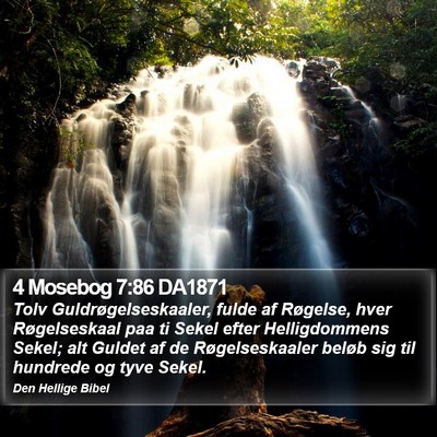 4 Mosebog 7:86 DA1871 Bible Verse Image