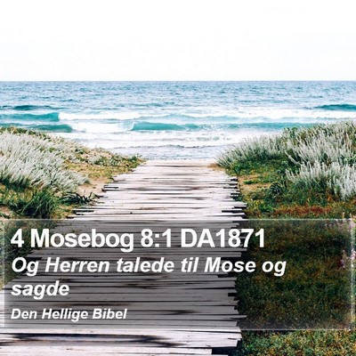 4 Mosebog 8:1 DA1871 Bible Verse Image