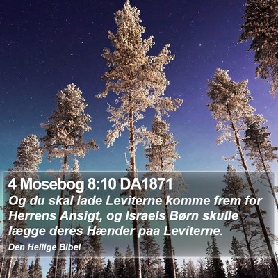 4 Mosebog 8:10 DA1871 Bible Verse Image