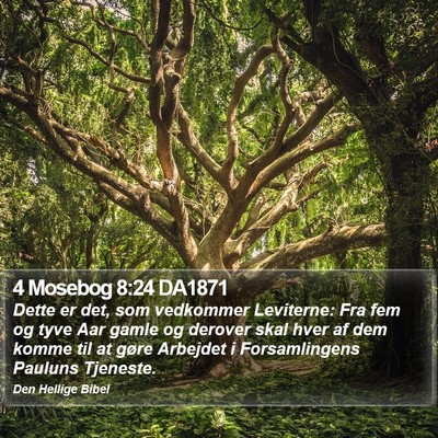 4 Mosebog 8:24 DA1871 Bible Verse Image