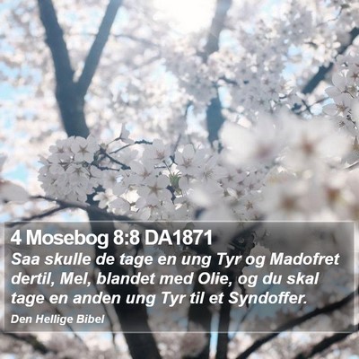 4 Mosebog 8:8 DA1871 Bible Verse Image