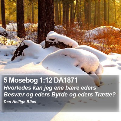 5 Mosebog 1:12 DA1871 Bible Verse Image
