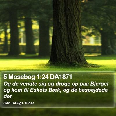 5 Mosebog 1:24 DA1871 Bible Verse Image