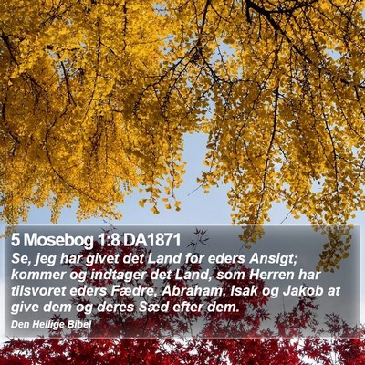 5 Mosebog 1:8 DA1871 Bible Verse Image