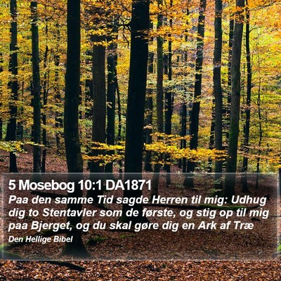 5 Mosebog 10:1 DA1871 Bible Verse Image