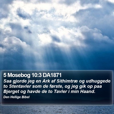 5 Mosebog 10:3 DA1871 Bible Verse Image