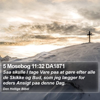 5 Mosebog 11:32 DA1871 Bible Verse Image