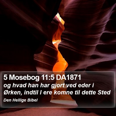 5 Mosebog 11:5 DA1871 Bible Verse Image