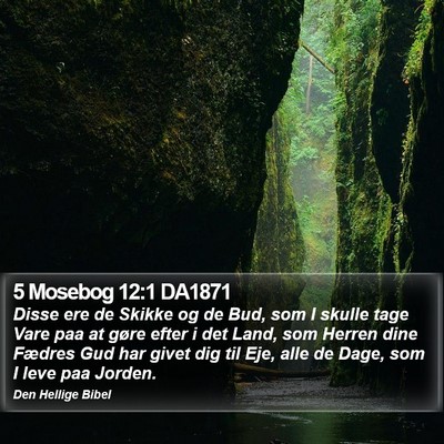 5 Mosebog 12:1 DA1871 Bible Verse Image