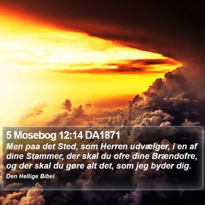 5 Mosebog 12:14 DA1871 Bible Verse Image
