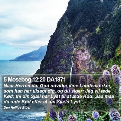 5 Mosebog 12:20 DA1871 Bible Verse Image