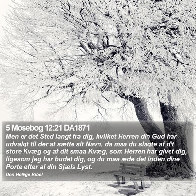 5 Mosebog 12:21 DA1871 Bible Verse Image