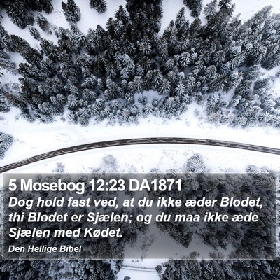 5 Mosebog 12:23 DA1871 Bible Verse Image