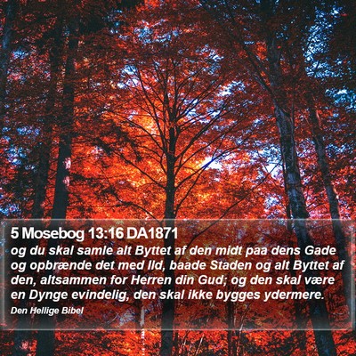 5 Mosebog 13:16 DA1871 Bible Verse Image