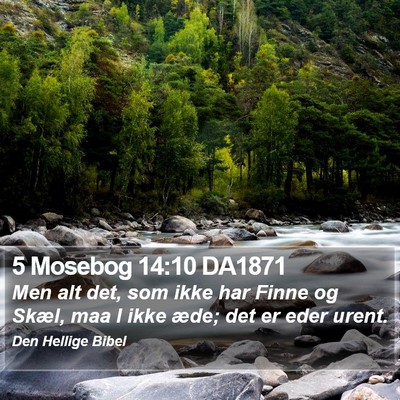 5 Mosebog 14:10 DA1871 Bible Verse Image