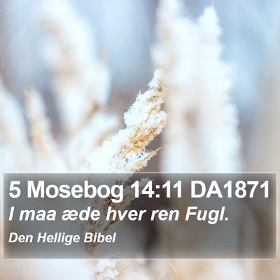 5 Mosebog 14:11 DA1871 Bible Verse Image