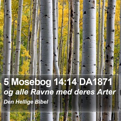 5 Mosebog 14:14 DA1871 Bible Verse Image