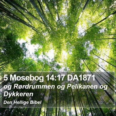 5 Mosebog 14:17 DA1871 Bible Verse Image