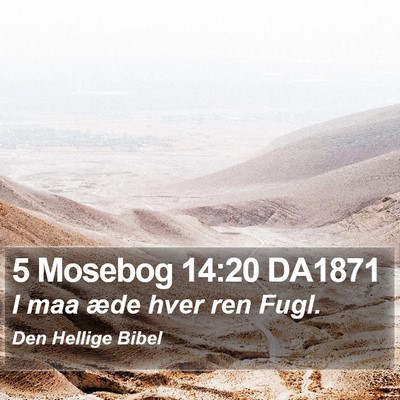 5 Mosebog 14:20 DA1871 Bible Verse Image
