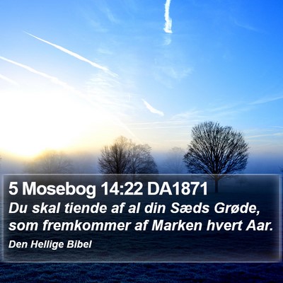 5 Mosebog 14:22 DA1871 Bible Verse Image