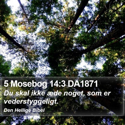 5 Mosebog 14:3 DA1871 Bible Verse Image