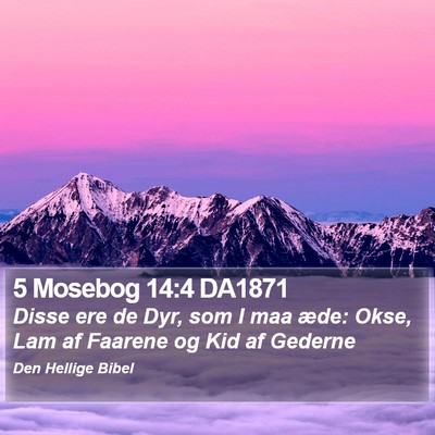 5 Mosebog 14:4 DA1871 Bible Verse Image