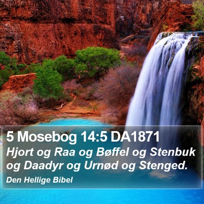 5 Mosebog 14:5 DA1871 Bible Verse Image