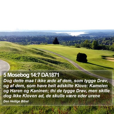 5 Mosebog 14:7 DA1871 Bible Verse Image