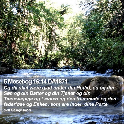 5 Mosebog 16:14 DA1871 Bible Verse Image