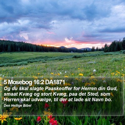 5 Mosebog 16:2 DA1871 Bible Verse Image