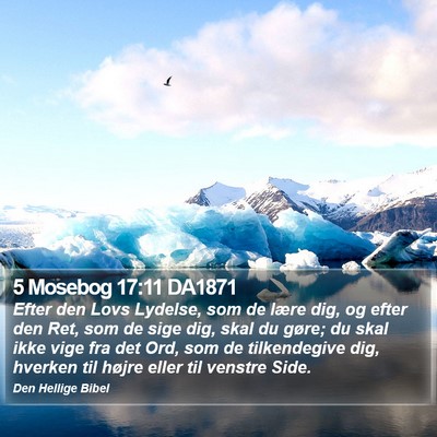 5 Mosebog 17:11 DA1871 Bible Verse Image